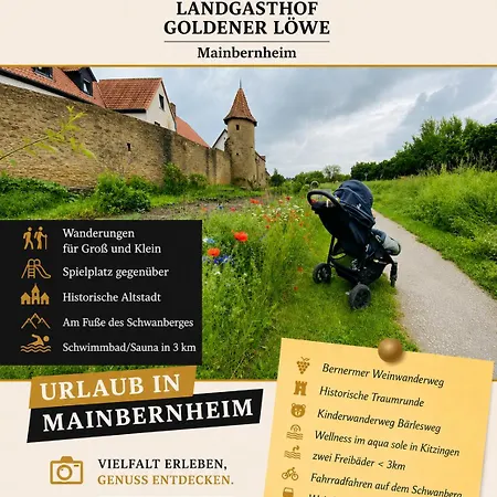 Otel Landgasthof Goldener Loewe