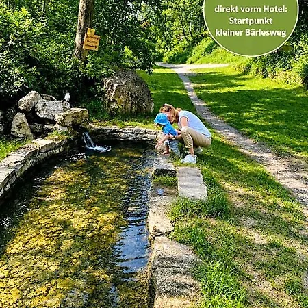 Landgasthof Goldener Loewe فندق Mainbernheim